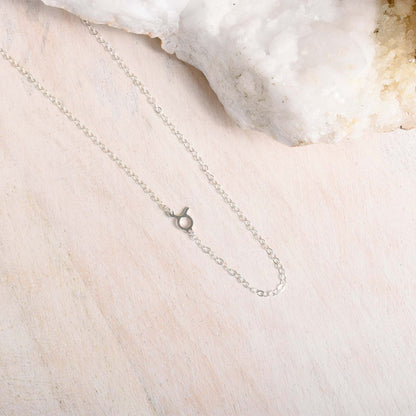 Zodiac Sterling Silver Link Necklace - Taurus