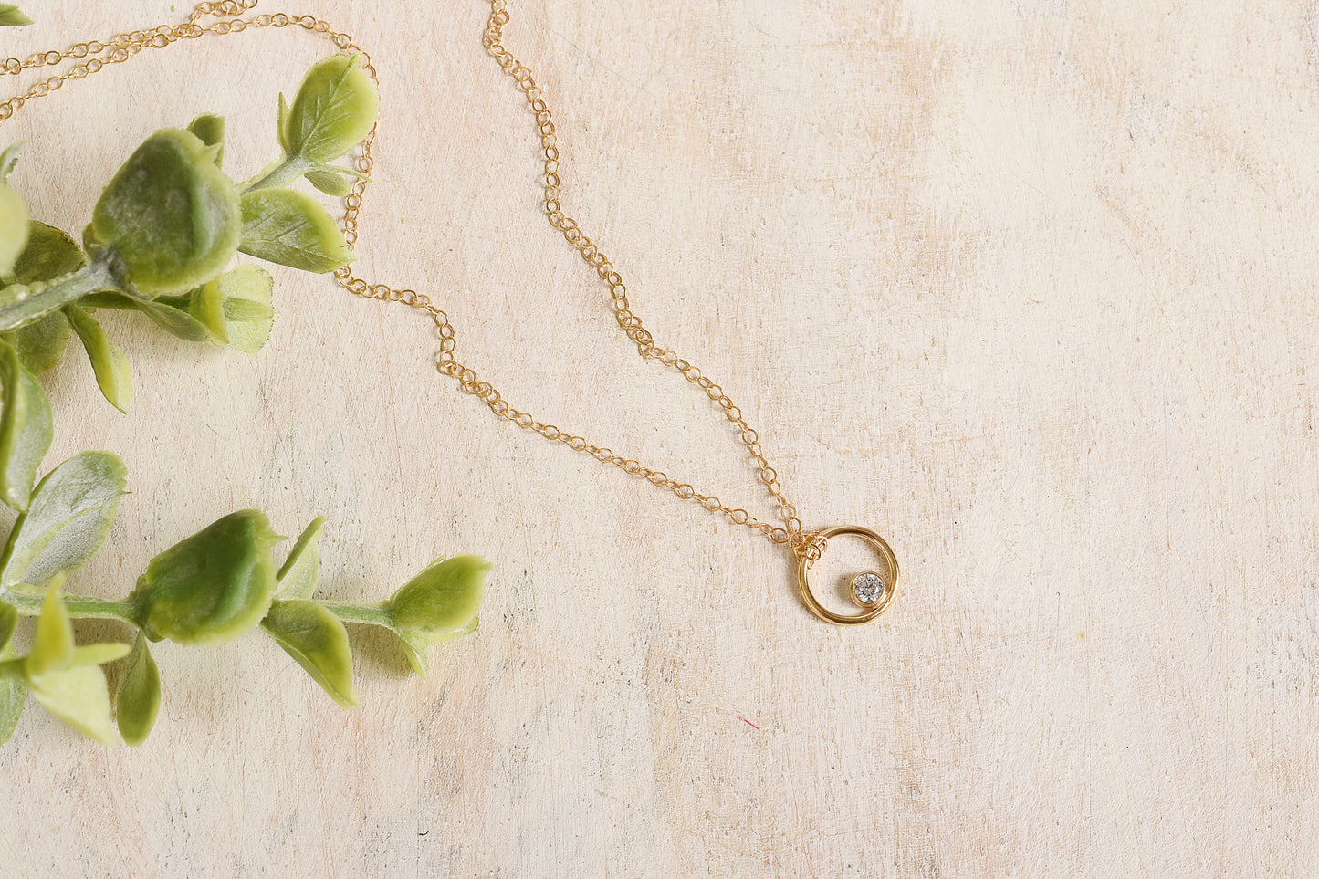 Gold necklace with a small circular pendant on a light background with green leaves.