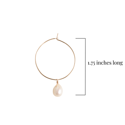 Measurements for gold hoop and pearl earrings 