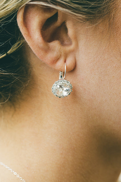 Sparkly Leverback Earrings